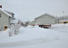 DSC 0199
